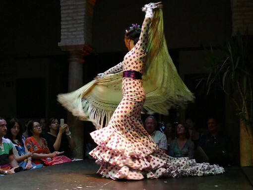 El arte debe fluir como el río, renovarse constantemente, asumiendo el riesgo del error, del fracaso y de la indiferencia… Flamenco, Sevilla, España