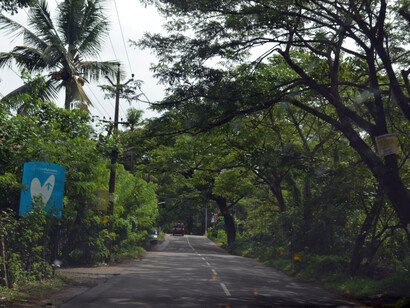 A road towards Kochi