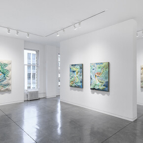 Ilhwa Kim, The geographic, exhibition view. Courtesy of Maybaum Gallery