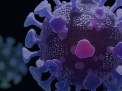 Solo una baja incidencia de infección permite una vida cotidiana en gran medida despreocupada, reduce la probabilidad de mutaciones y permite el seguimiento