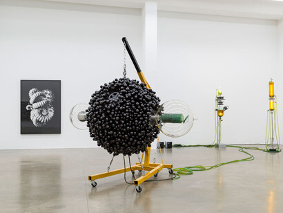 Thomas Feuerstein. Courtesy of Sexauer