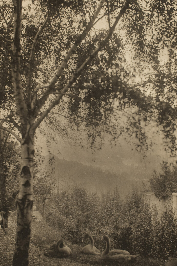Andrew Buurman (British, b. 1966), Allotments, 2009, inkjet prints, printed 2012, George Eastman Museum, purchase with funds from Charina Foundation, 2011.0414.0001-0070.