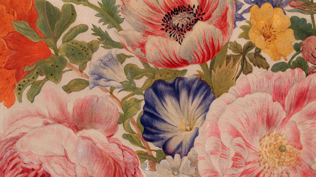 Maria Sibylla Merian. Courtesy of Kupferstichkabinett