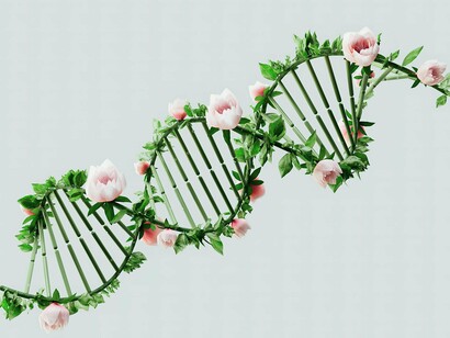 Também é crescente o uso de exames para avaliar a resposta genética a medicamentos, campo conhecido como farmacogenética e, em sua abordagem mais ampla, farmacogenômica — que considera múltiplos genes e suas interações, permitindo personalizar tratamentos com base no perfil genético de cada indivíduo