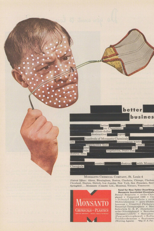 Evidentiary Realism. Courtesy of Nome