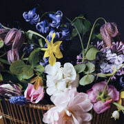 Sharon Core. Courtesy of Tracey Morgan Gallery