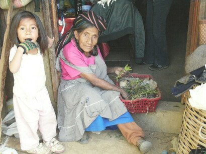 Pilar, escuela de plantas medicinales