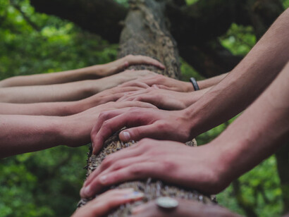 A community together in nature