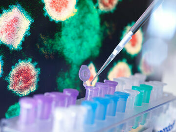 There is also a substantial capacity for diagnostic testing and a large number of privately-owned labs