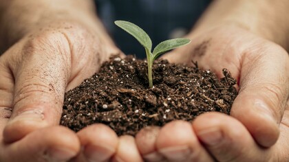 Planto sonhos porque acredito que eles precisam ser realizados, já não planto mais sonhos que não me interessam, eles, além de ocuparem espaços que poderiam ser mais bem utilizados, ainda ocupam o meu tempo, que merece ser investido em sonhos mais empolgantes, que me fazem lutar por eles com todas as minhas forças