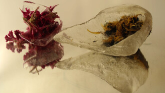 Performance «Lágrimas de renacimiento» de Illimani de los Andes