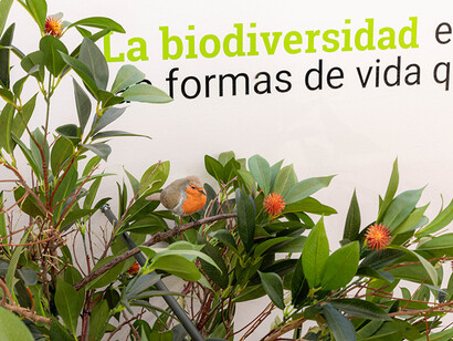 Andalucía laboratorio de biodiversidad, vista de exhibición. Cortesía de Casa de la Ciencia