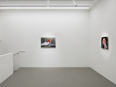 Sofia Mitsola, Psyche of fae O, exhibition view. Courtesy of Galerie Eva Presenhuber
