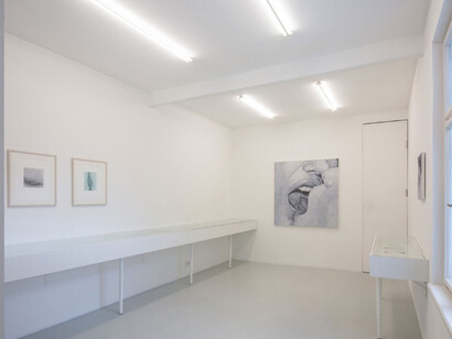 Betty Tompkins, Ausstellungsansicht, Kunstraum Innsbruck, 2017. Foto: Günter Richard Wett