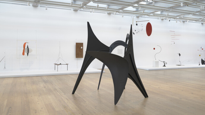 Hypermobility, Exhibition view. Courtesy of Calder Foundation