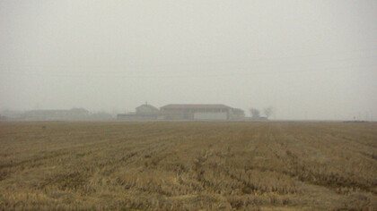 Campagna lombarda