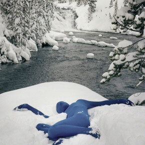 Orchid. seasons - winter. Courtesy of Crush Curatorial