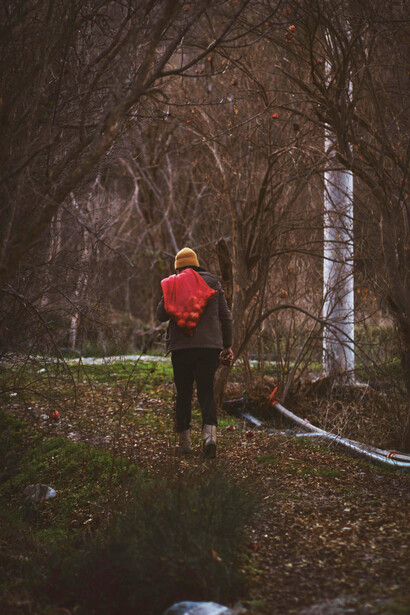 Más que una ruta definida, el camino es un proceso continuo guiado por nuestra dirección y propósito