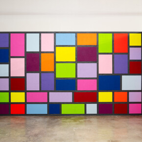 Peter Halley, The mirror stage, exhibition view. Courtesy of NSU Art Museum 