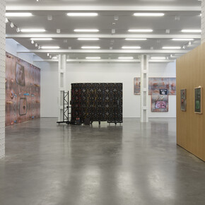 Tishan Hsu, Emergence, exhibition view. Courtesy of Lisson Gallery