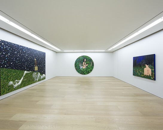 Chen Fei, Exhibition view. Courtesy of Perrotin