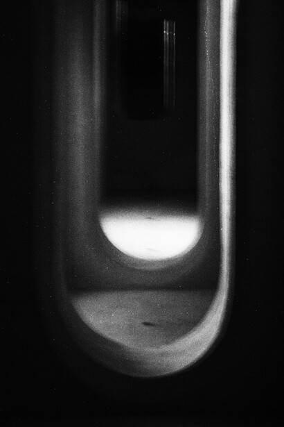 Carlotta Gussoni Filocamo. Courtesy of MADE4ART