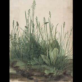 Albrecht Dürer. Courtesy of Albertina Museum