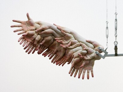 Choi Xooang. The wing