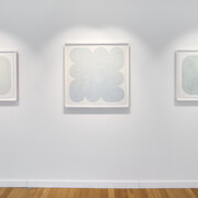 Sarah Shepard Gallery