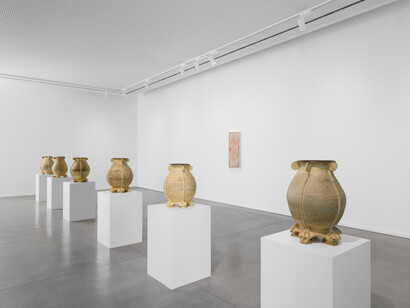 Calvin Marcus, Skin paintings, exhibition view. Courtesy of Museum Dhondt-Dhaenens