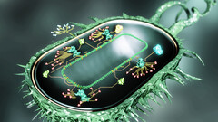 Synthetic bio cell