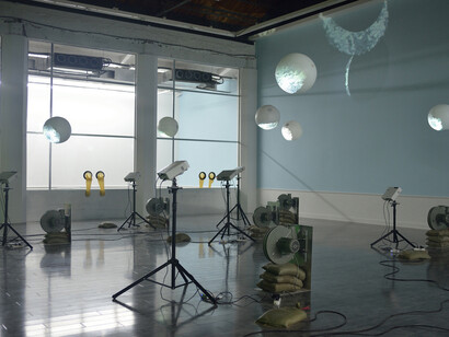 Nadim Abbas, Human Rhinovirus 14, 2016.
Mixed media installation. Dimensions variable.
Image courtesy of the artist and Antenna Space.