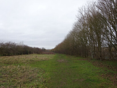 El trabajo en las áreas protegidas es una forma de diálogo constante.  Sendero del Parque Natural Burgess Field, Port Meadow, Oxford, Inglaterra