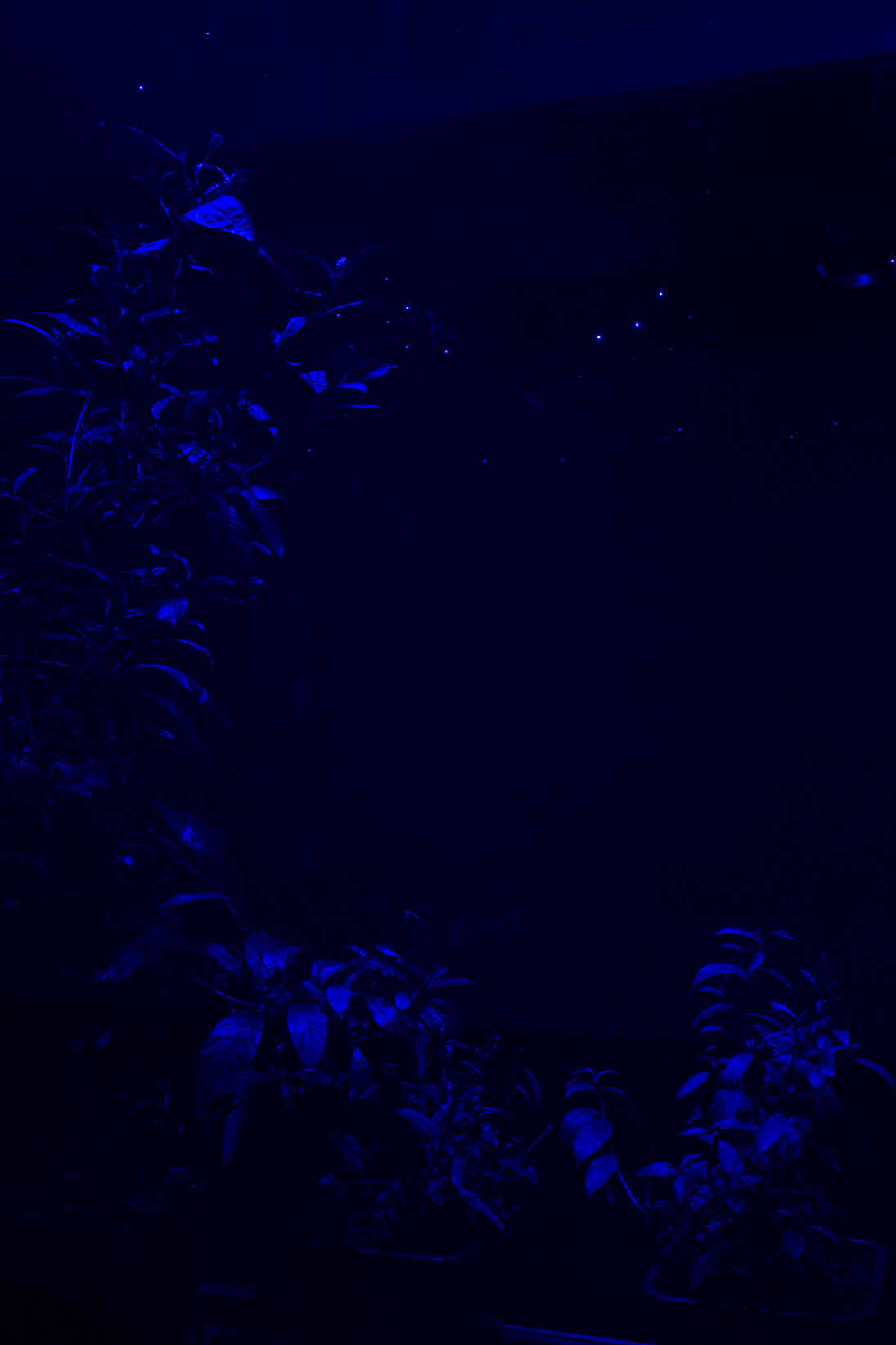 Hicham Berrada, Azur, 2014-2015, 300 g Arche paper on frame, cobalt chloride, resistance, glass, 60 x 50 x 19 cm, - Celeste, 2014, Color video. Grey sky, sky blue smoke, 5 min 55 s, View of the exhibition "Paysages a circadiens", kamel mennour (6 rue du Pont de Lodi), Paris, 2015 © Hicham Berrada © Photo. Fabrice Seixas, Courtesy the artist and kamel mennour, Paris