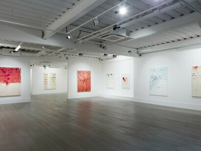 Azadeh Razaghdoost. Recipe for a Poem, Exhibition view. Courtesy of Sophia Contemporary Gallery