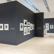 Richard Avedon, Entre creativos, vista de exhibición. Cortesía del Phoenix Art Museum