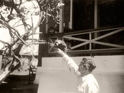 Don Johannes Fiesler jugando con su lapa roja en el jardín del hotel, alrededor del año 1945. Foto propiedad de Johanna Fiesler Calvo