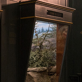 Art of the Diorama. Courtesy of Carnegie Museum of Natural History
