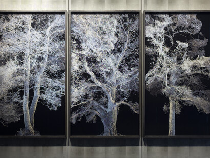 Quayola, PP 3D scans series, installation view at CUBO, 2017. Foto di Alessandro Trapezio