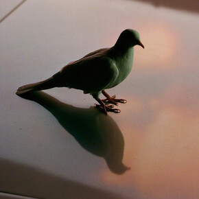 David Black. Courtesy of The Lodge