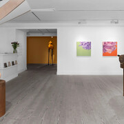 Kalliopi Lemos, A tide of roses, exhibition view. Courtesy of Gazelli Art House