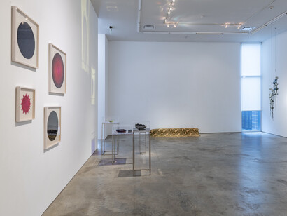 Touch me, 2023, installation view. Courtesy of Sicardi | Ayers | Bacino