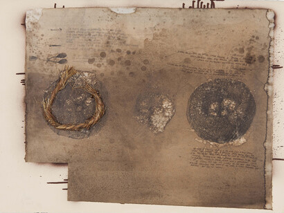 Courtesy Ricardo Brey & Galerie Nathalie Obadia Paris / Brussels © We Document Art