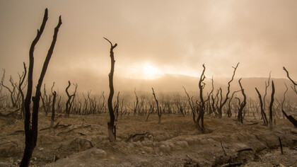 Silhouettes calcinées sous un ciel étouffant : quand la terre se fissure et que la vie s’efface, l’image incarne une réalité que décrit la guerre de l’eau, une violence lente, silencieuse, où priver d’eau revient à condamner sans bruit des populations entières