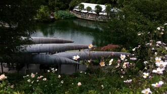 Giardini di Trauttmansdorff, coperture a canoa  ed anemoni.