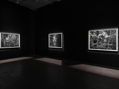 Dawoud Bey, Stony the road, exhibition view. Courtesy of Sean Kelly