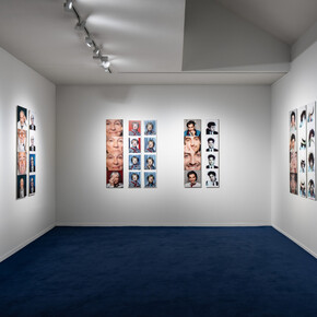 Pip Greenaway, Too much to swallow, exhibition view. Courtesy of Galerie Ron Mandos