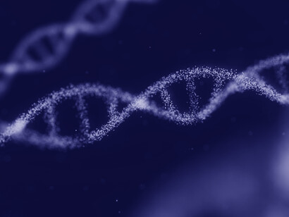 Si è scoperto che determinati stimoli ambientali possono modificare radicalmente la funzione, ma non la struttura, di alcuni tratti di DNA