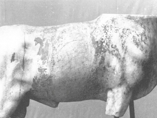 Gli egiziani credevano che il dio Apis abitasse in un toro sacro, scelto per i suoi segni distintivi, come il mantello nero e particolari macchie bianche. Statua del bue Apis immortalata da Muller