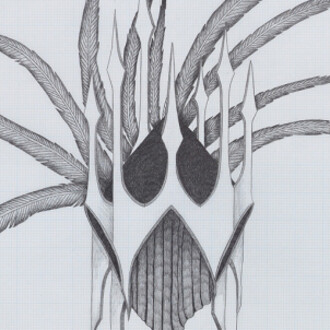 The Presence of Your Absence Is Everywhere. Courtesy of Frist Center for the Visual Arts